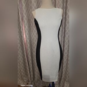 Thalia Sodi Black and White Midi Dress
